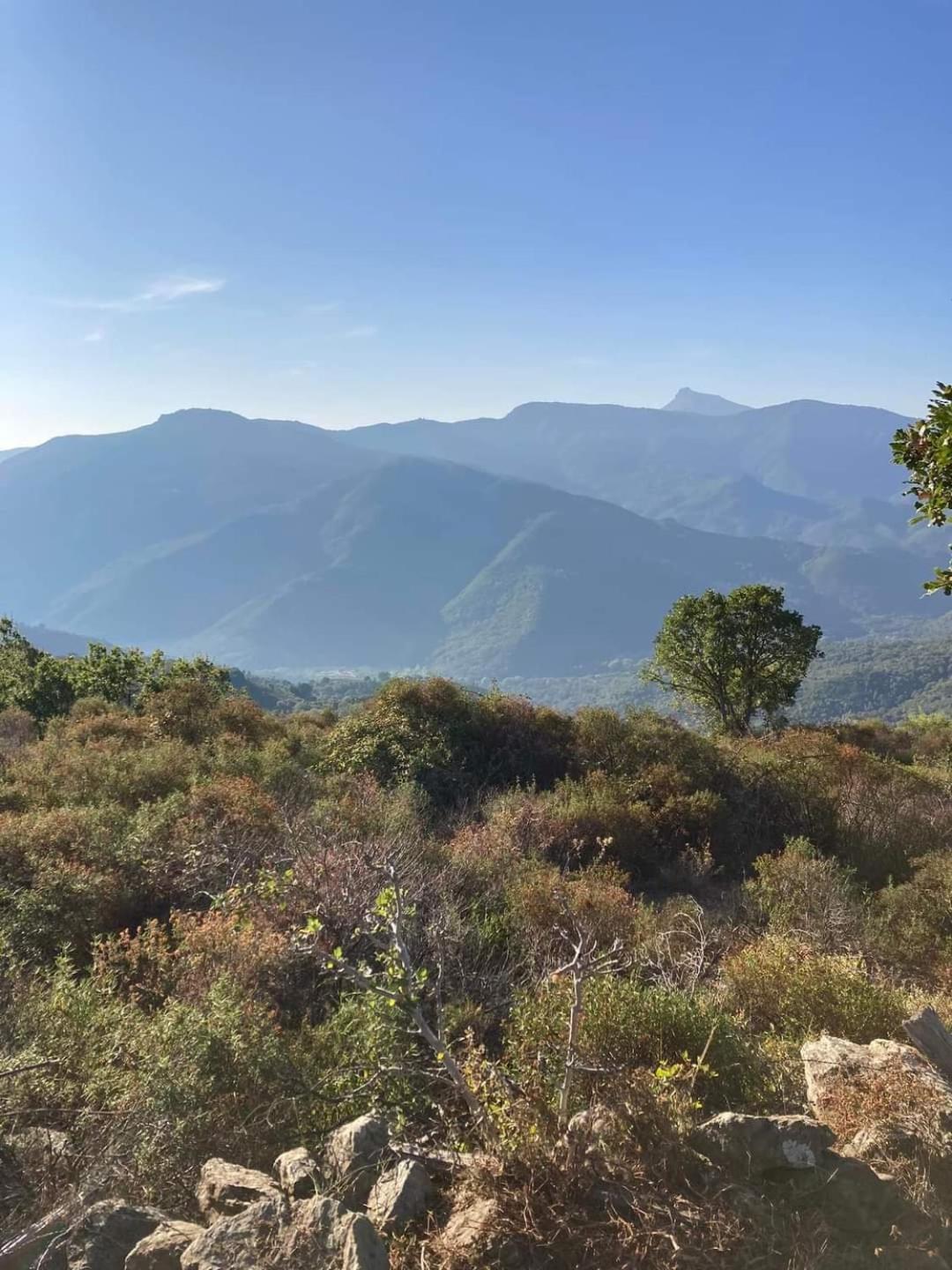 Maison De Village Avec Vue Sur Les Montagnes Bigorno Eksteriør bilde